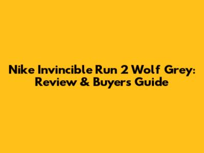 Nike Invincible Run 2 Wolf Grey: Review & Buyer's Guide